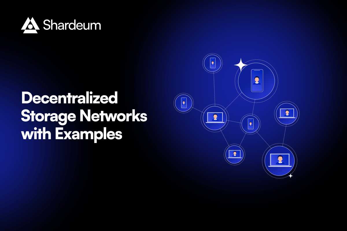 Irys onchain storage vs IPFS pinning services
